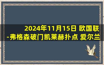 2024年11月15日 欧国联-弗格森破门凯莱赫扑点 爱尔兰1-0小胜芬兰